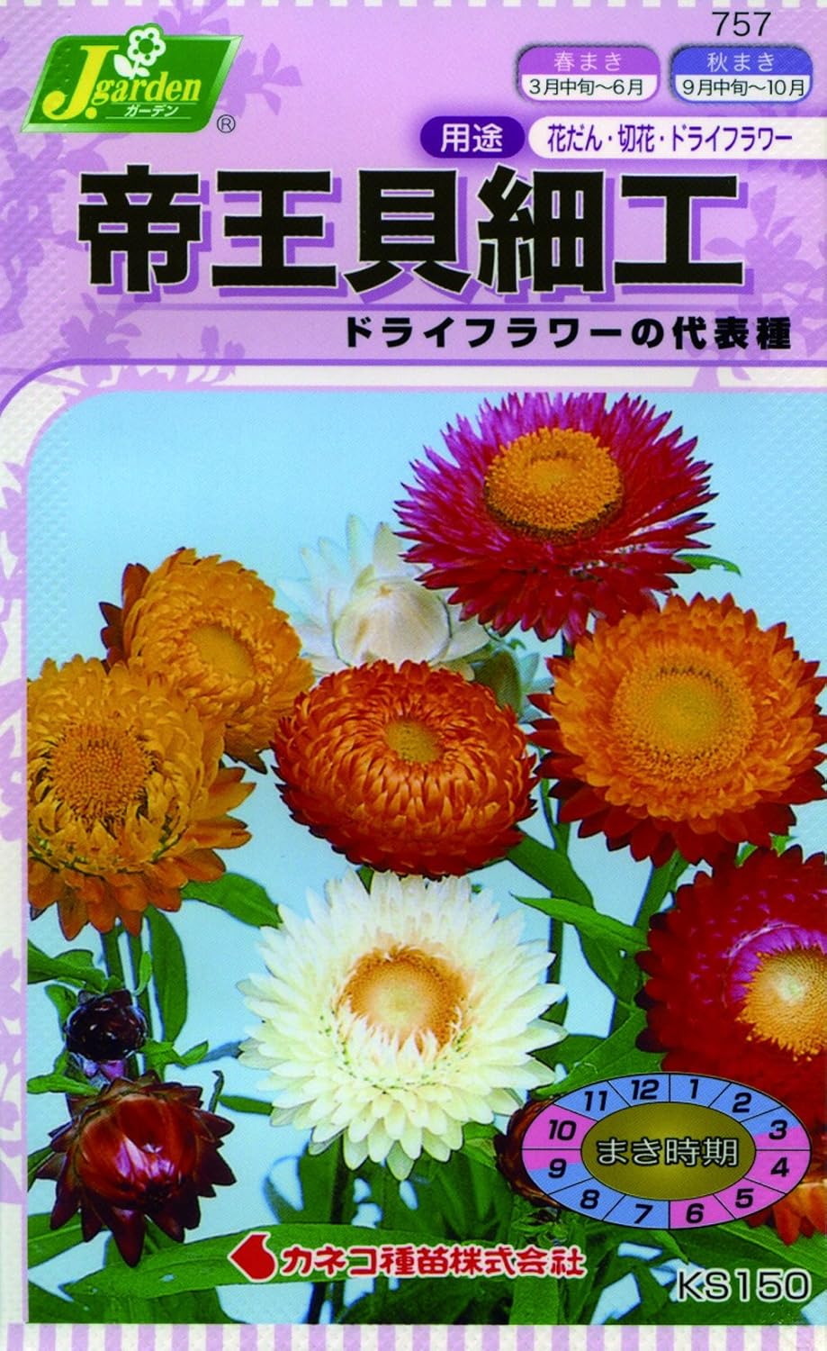 Amazon カネコ種苗 草花タネ757 帝王貝細工 10袋セット 花