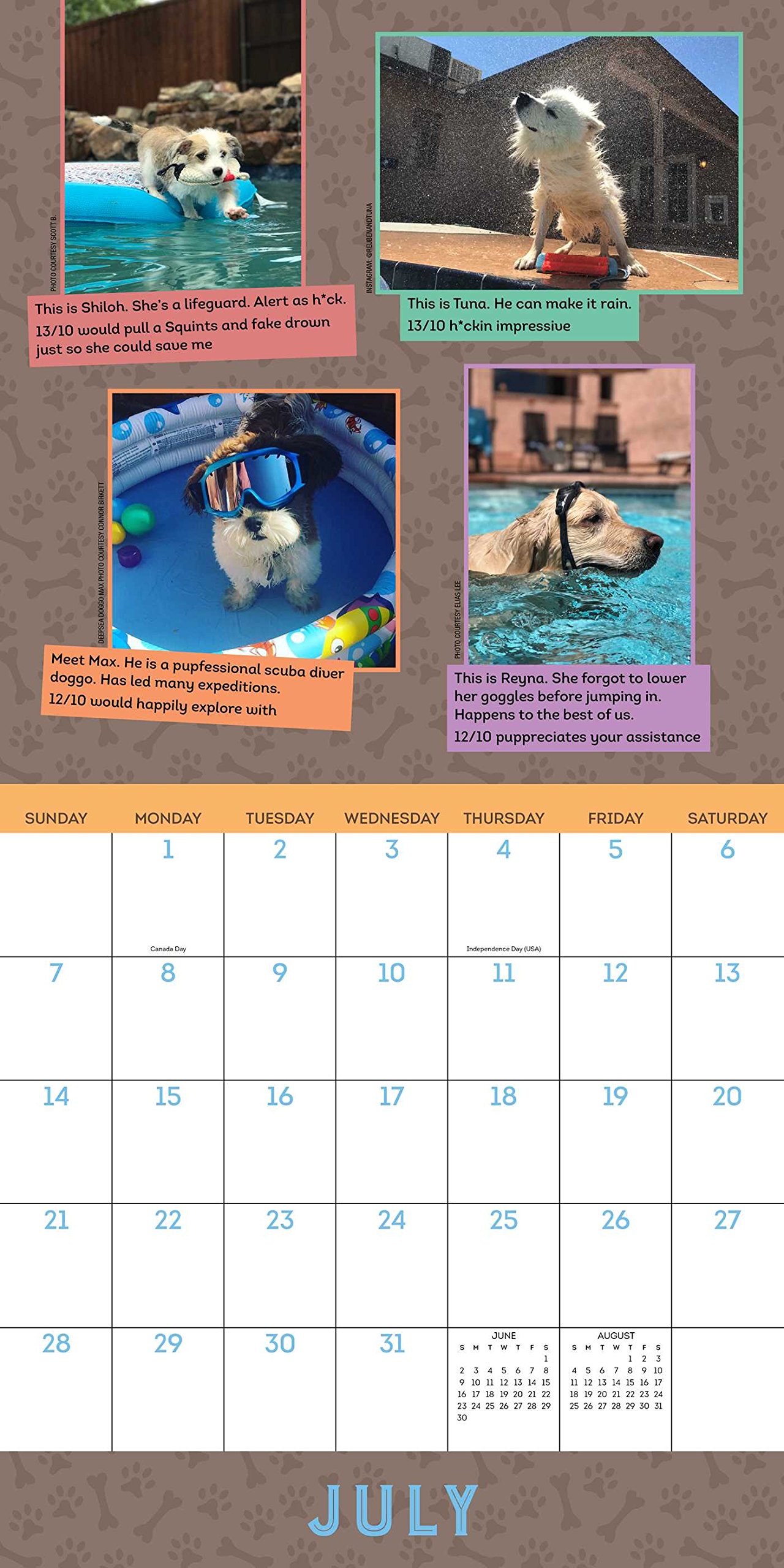 we rate dogs calendar