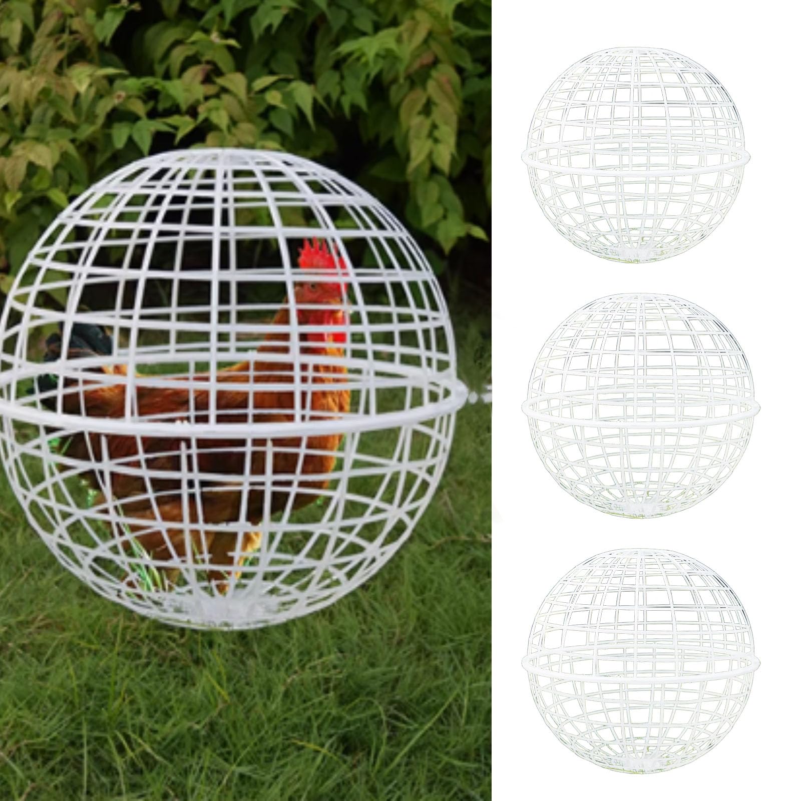 Photo 1 of MANON ROSA Chicken Ball Cage Rolling Orb Mobile Poultry Enclosure Round Plastic Hutch for Chicks Rabbits Birds Ducks Outdoor Backyard Farms- Prevents Dog Bites Horse Trampling (3-Pack,M)