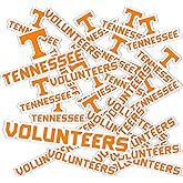 Desert Cactus University of Tennessee Sticker UT Knoxville Volunteers Vols Vinyl Decals Laptop Water Bottle Car Scrapbook Sheet T1 (Type 1-1)
