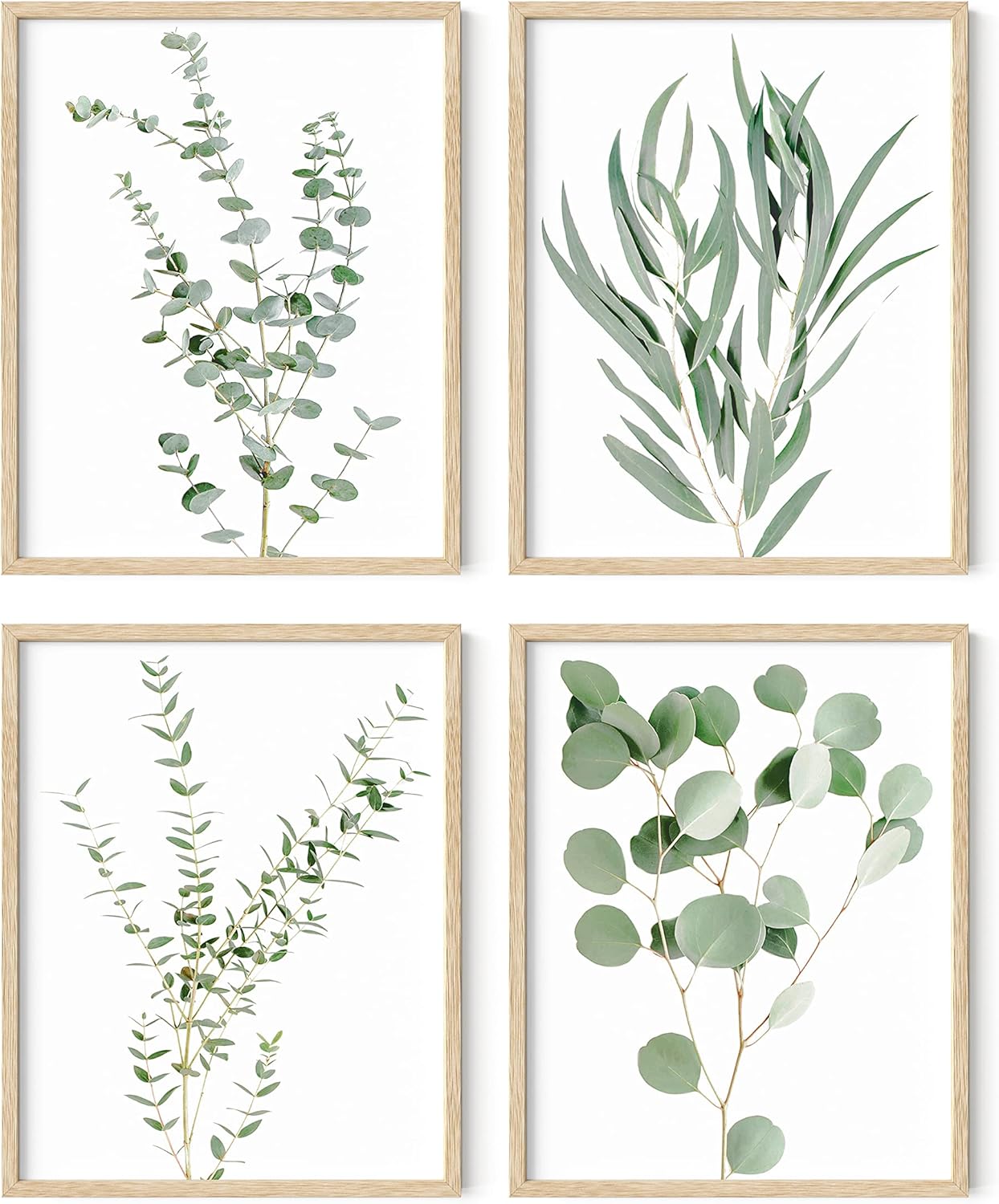 Wall Décor - HAUS AND HUES Botanical Plant Wall Art Prints - Set of 4 Plant Wall Decor Prints Floral Kitchen Flower Leaves Wall Art Boho Leaf Eucalyptus (11x14, UNFRAMED)