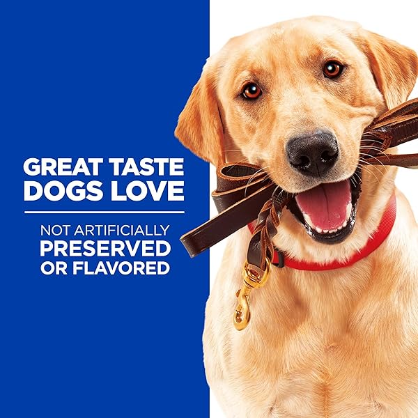 HILL’S NATURAL TRAINING SOFT & CHEWY TREATS, ALL LIFE STAGES, GREAT TASTE, DOG TREATS, CHICKEN, 3 OZ BAG
