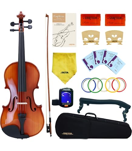 Amazon.com: Carlo Giordano Violin Outfit VS - 1 : Musical Instruments