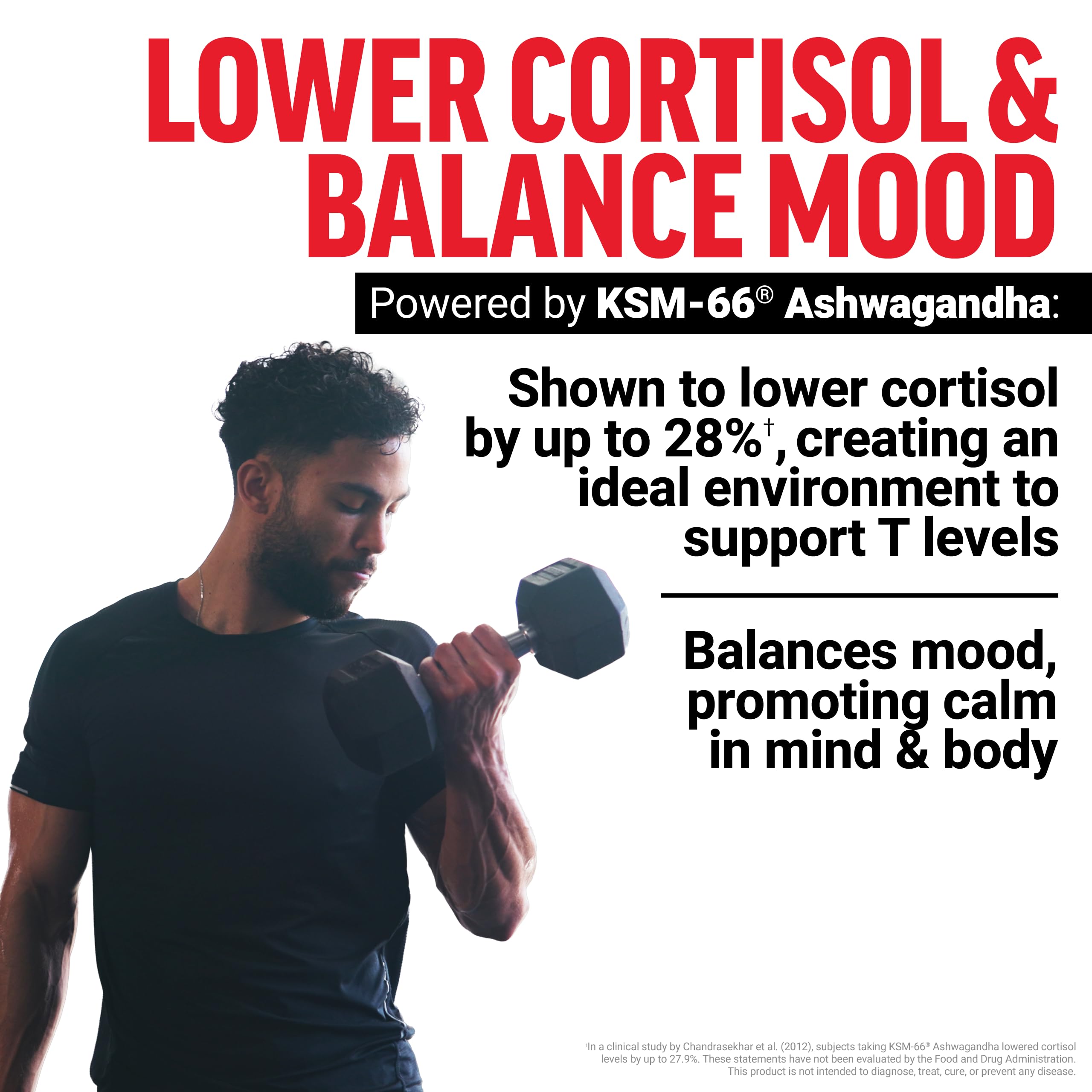 Force Factor Test X180 Max Gummies, Testosterone Booster Supplement for Men, with KSM-66 Ashwagandha to Support T Levels, Strength & Vitality, Mixed Berry, 60 Gummies