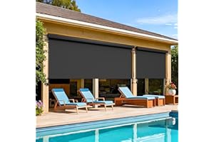 WISTERIA LANE Outdoor Roller Shade (10'W X 8'H) 420GSM New Material with 95% UV Protection, Cordless Aluminum Outdoor Blinds with Crank Handle and Valance, Patio Shade for Shading, Privacy Protection, Black