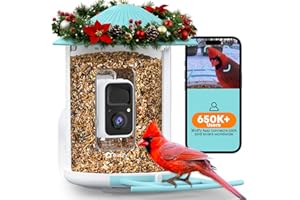 NETVUE by Birdfy Smart Bird Feeder with Camera, Bird Watching Camera, Auto Capture Video & Motion Detection, 1080P Live Steam, Cardinal Feeder Outdoor Wireless, Ideal Present for Backyard Birder, Blue