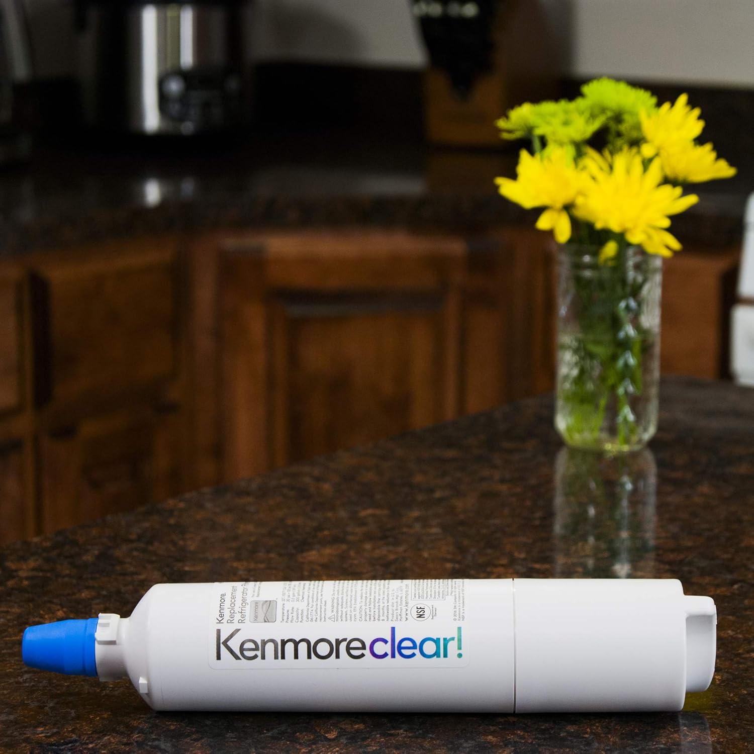 Kenmore 9990 Refrigerator Water Filter, White: Home Improvement