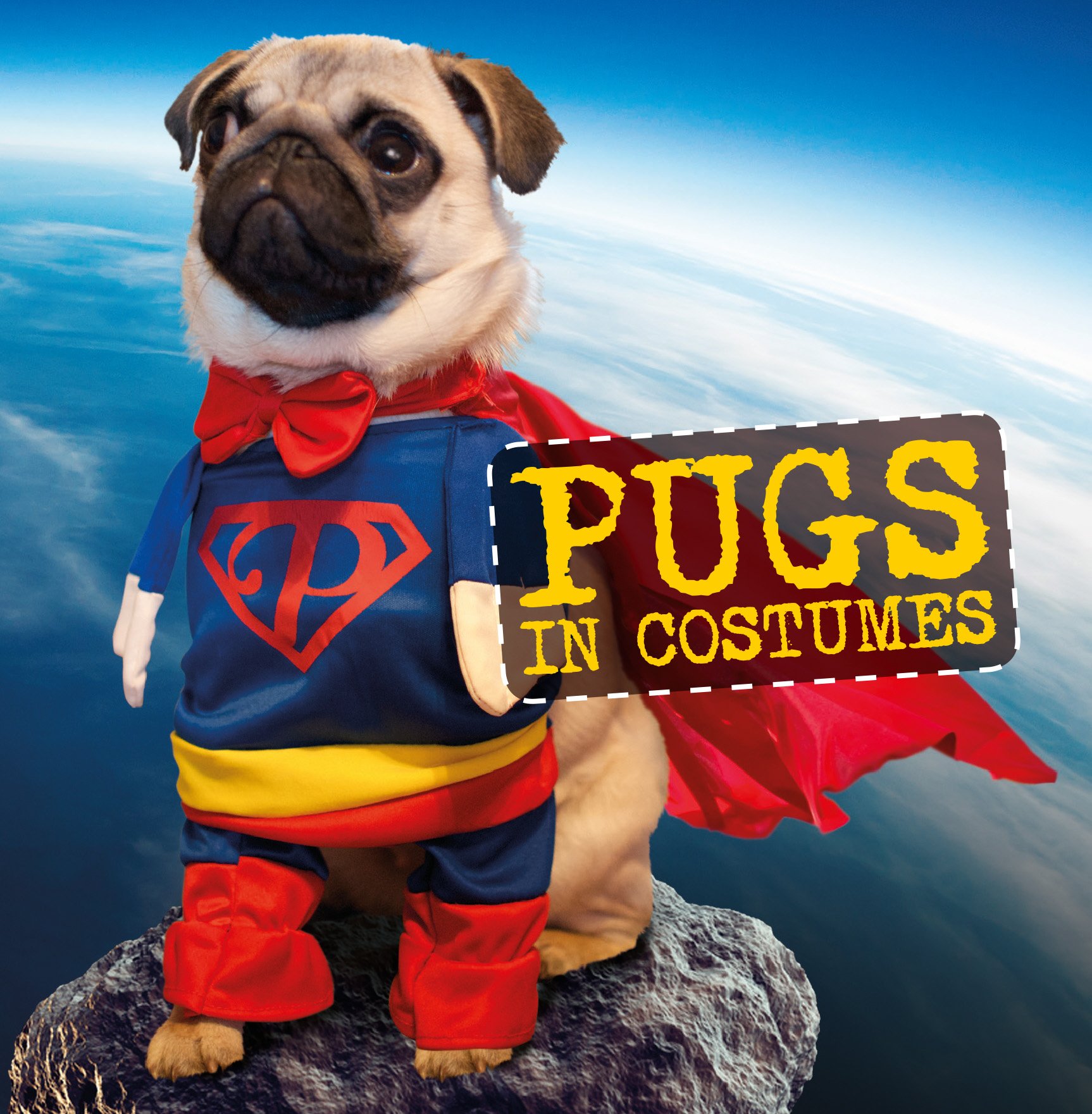 pug clothes amazon
