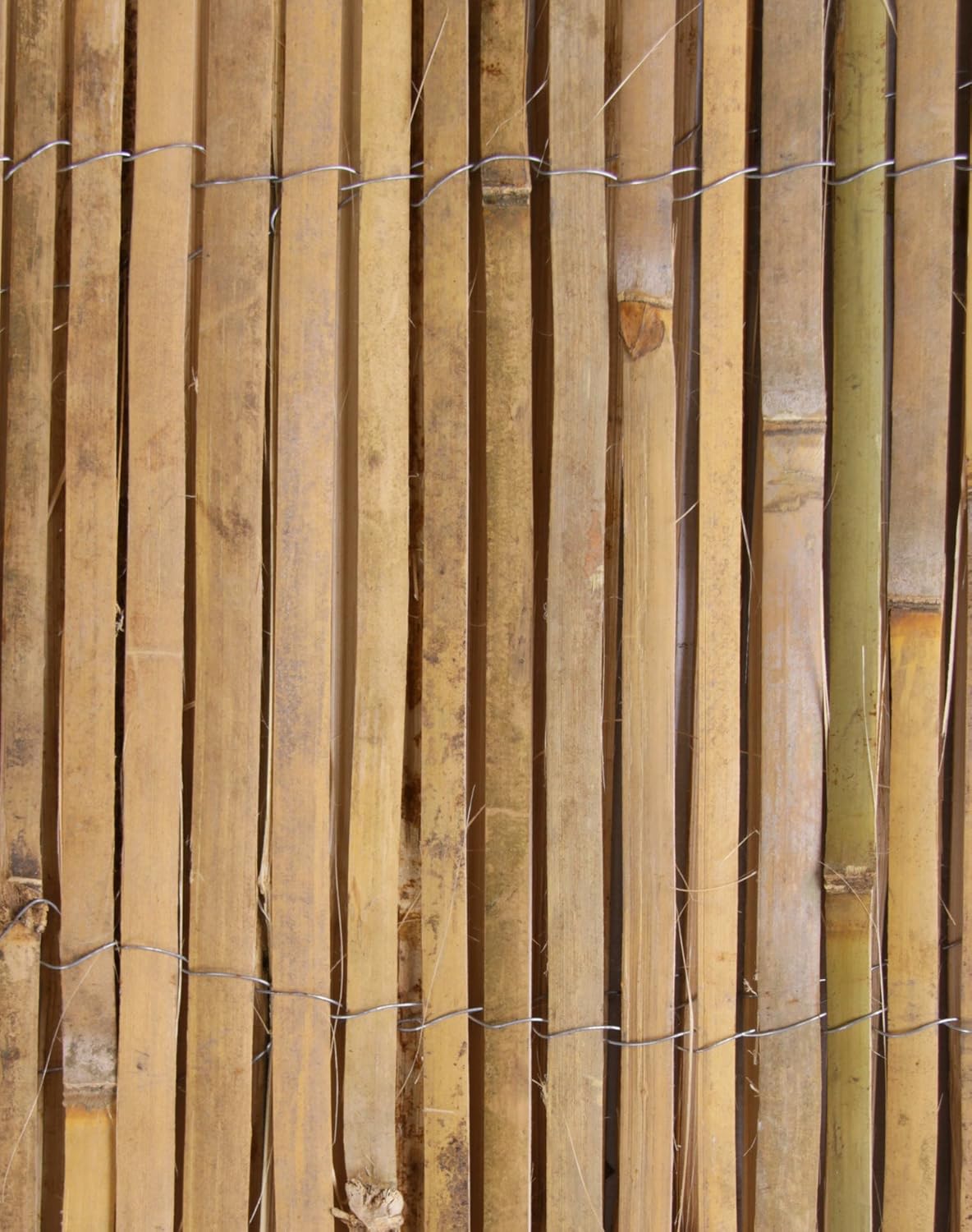 PME Pioli In Bambù Per Torte Multipiano - Confezione Da 12, 30 Cm, Per Pasticceria - Foto 4