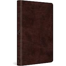 The English Standard Version Bible:英語版 The Holy Bible: English Standard Version: ESV Bibles by