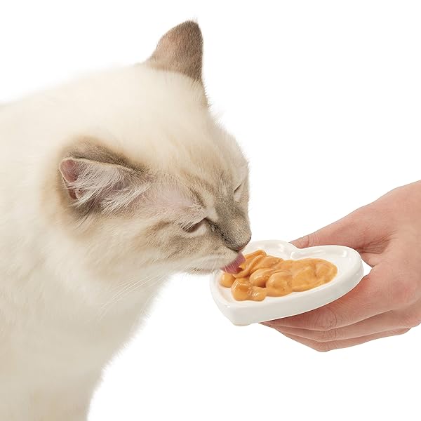 CATIT CREAMY LICKABLE CAT TREAT – HYDRATING AND HEALTHY TREAT FOR CATS OF ALL AGES – SALMON, 5-PACK