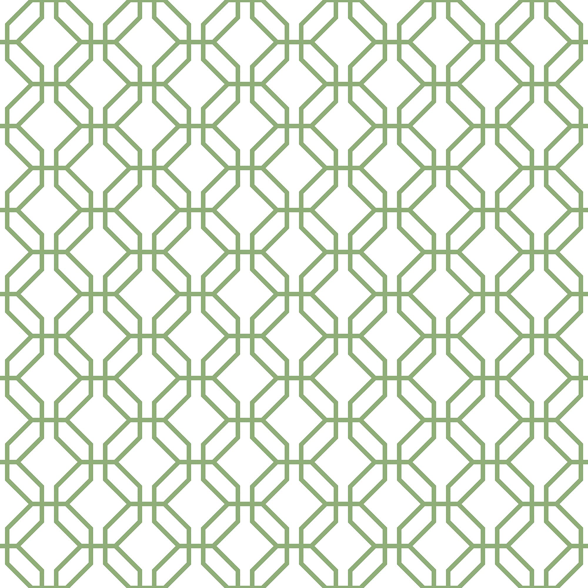 Galerie G78528 Secret Garden Trellis Positive Wallpaper, White/Green, 10m x 53cm โ image 1