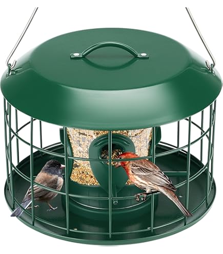 Mangeoire à Oiseaux De Luxe Avec Cloison Pour écureuil, Cage à Suif Et Plateau De Bain Pour Pot De Fleurs – Design Respectueux De La Faune
