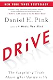 Drive: The Surprising Truth About What Motivates Us