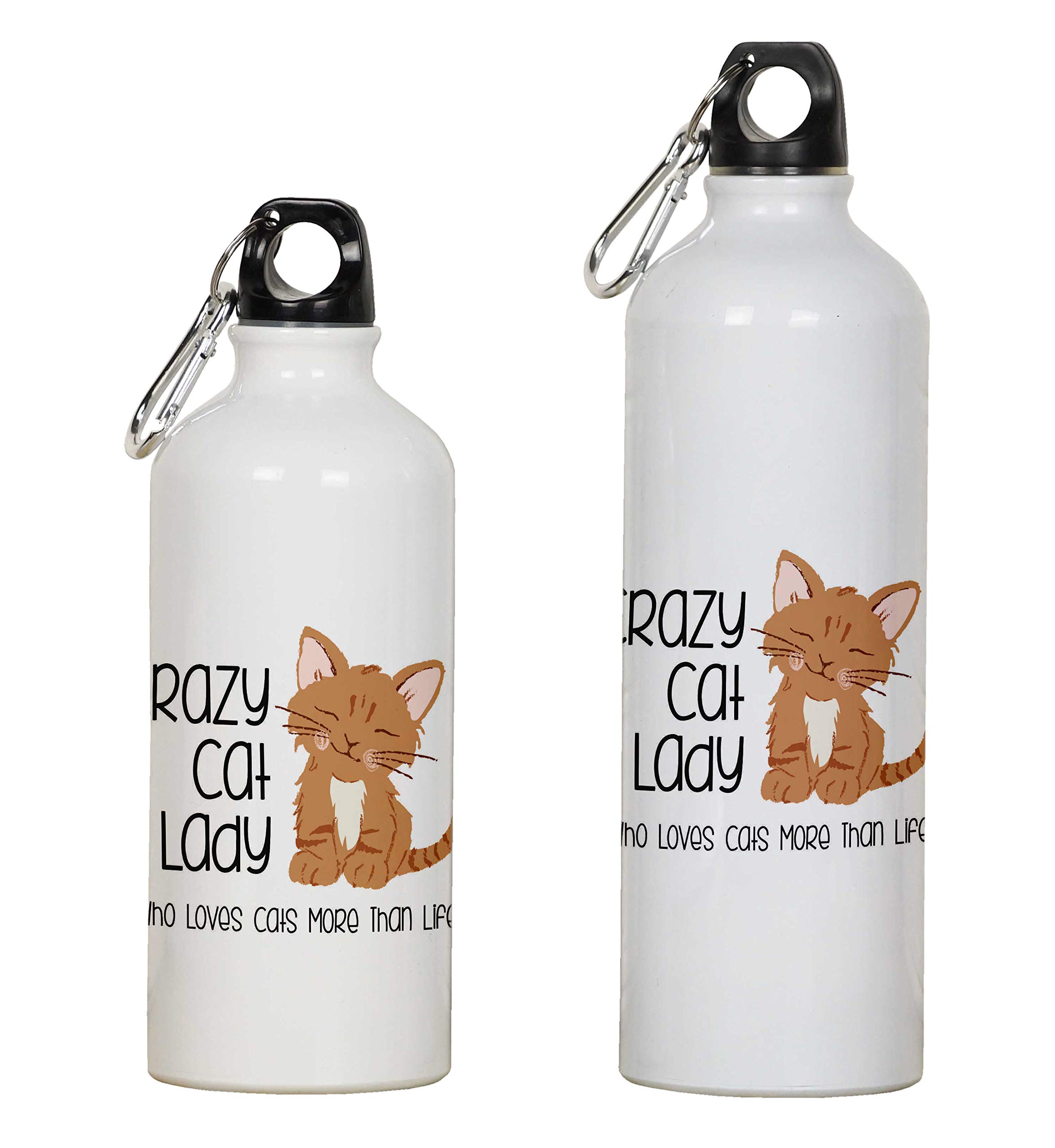 Printtoo Aluminum Sport Water Bottle Crazy Cat Lady Who Loves Cats More Than Life Print Travel Bottle With Carabiner Clip 650ml/21.9oz