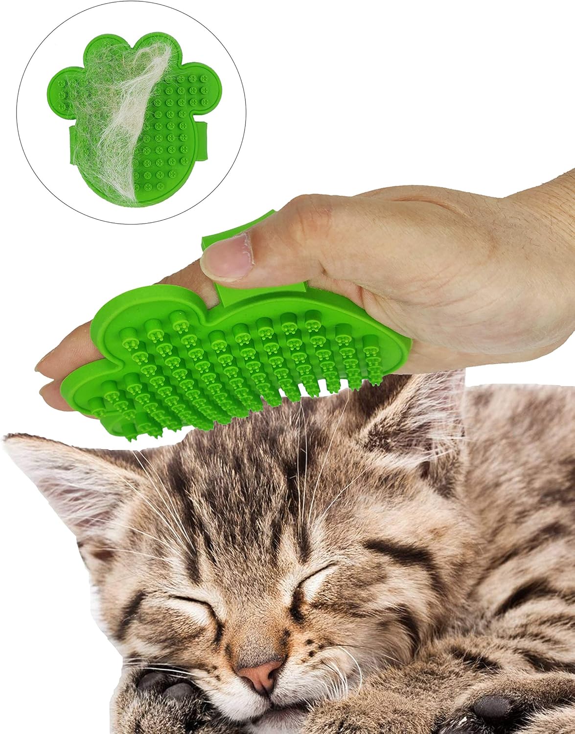 orange spotted filefish care