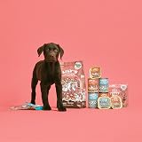Lily's Kitchen Natural Puppy Wet Food Turkey Duck 6 x 400g Tin view 4