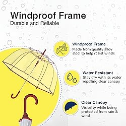 Weather Station Clear Dome Rain Umbrella