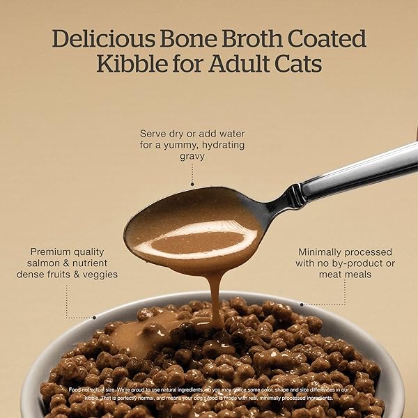 NOW FRESH GOOD GRAVY GRAIN-FREE DRY CAT FOOD WITH SALMON, HEALTHY KIBBLE FOR ADULTS & SENIORS COATED IN BONE BROTH – JUST ADD WATER TO MOISTEN, CHICKEN-FREE RECIPE FOR SENSITIVE STOMACHS, 8 LB BAG