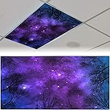 Patelai 4 x 2 Feet Fluorescent Light Cover for