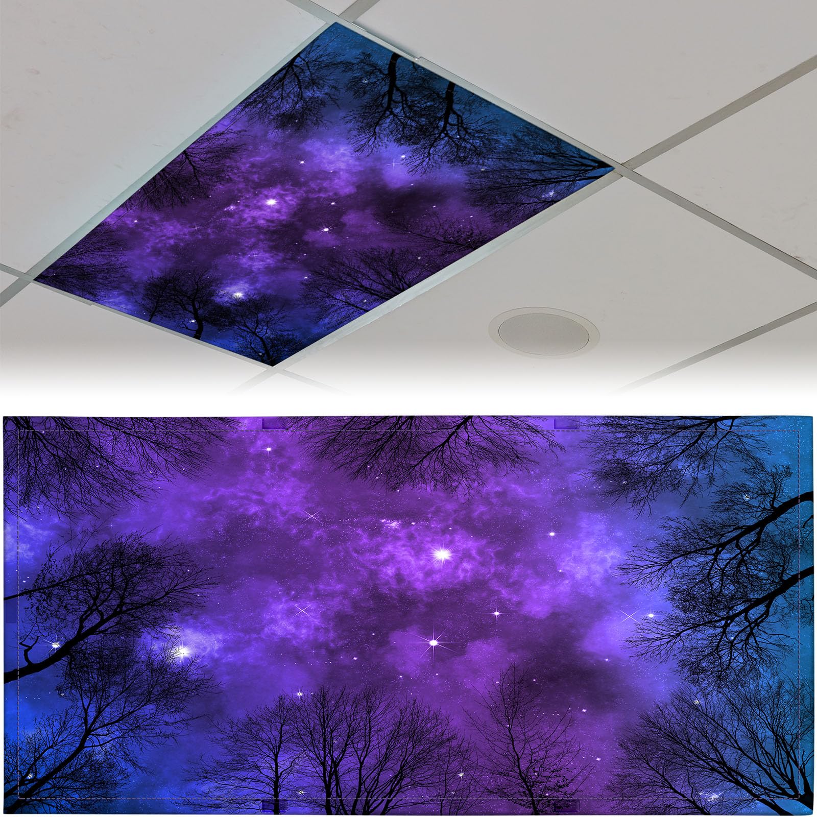 Patelai 4 x 2 Feet Fluorescent Light Cover for