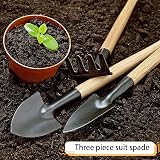 NEUSID Mini Garden Tools Set 6 Pieces Wood Handle Shovel Rake Trowel view 7