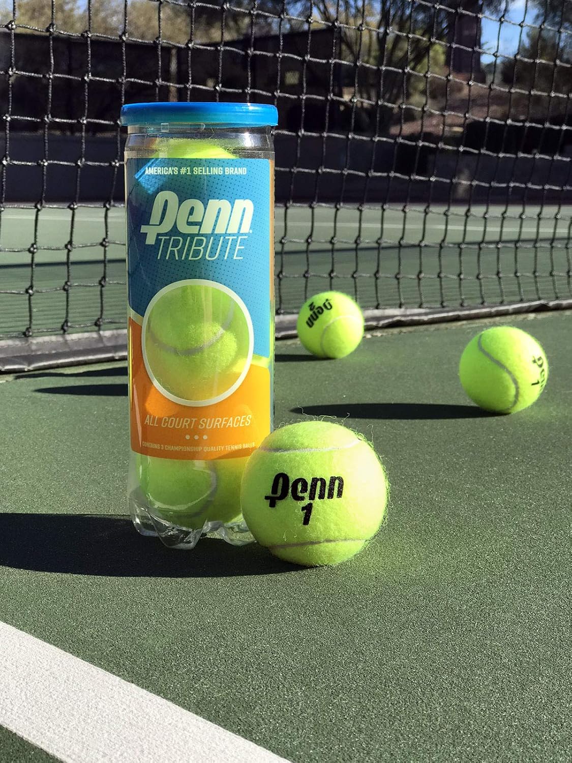 Penn Tribute Tennis Balls - All Courts Felt Pressurized Tennis Ball, 1 Can, 3 Balls : Sports & Outdoors