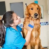 D.A.Y. Republic Dog Grooming Rubber Pet Mitt Adjustable Strap 4 Size fits view 5