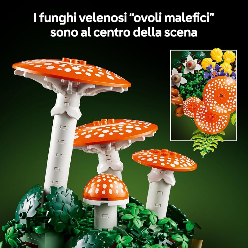 Botanicals Funghi del bosco 11505