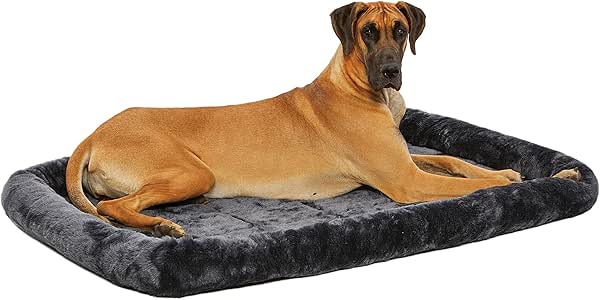 best dog bed for shedding