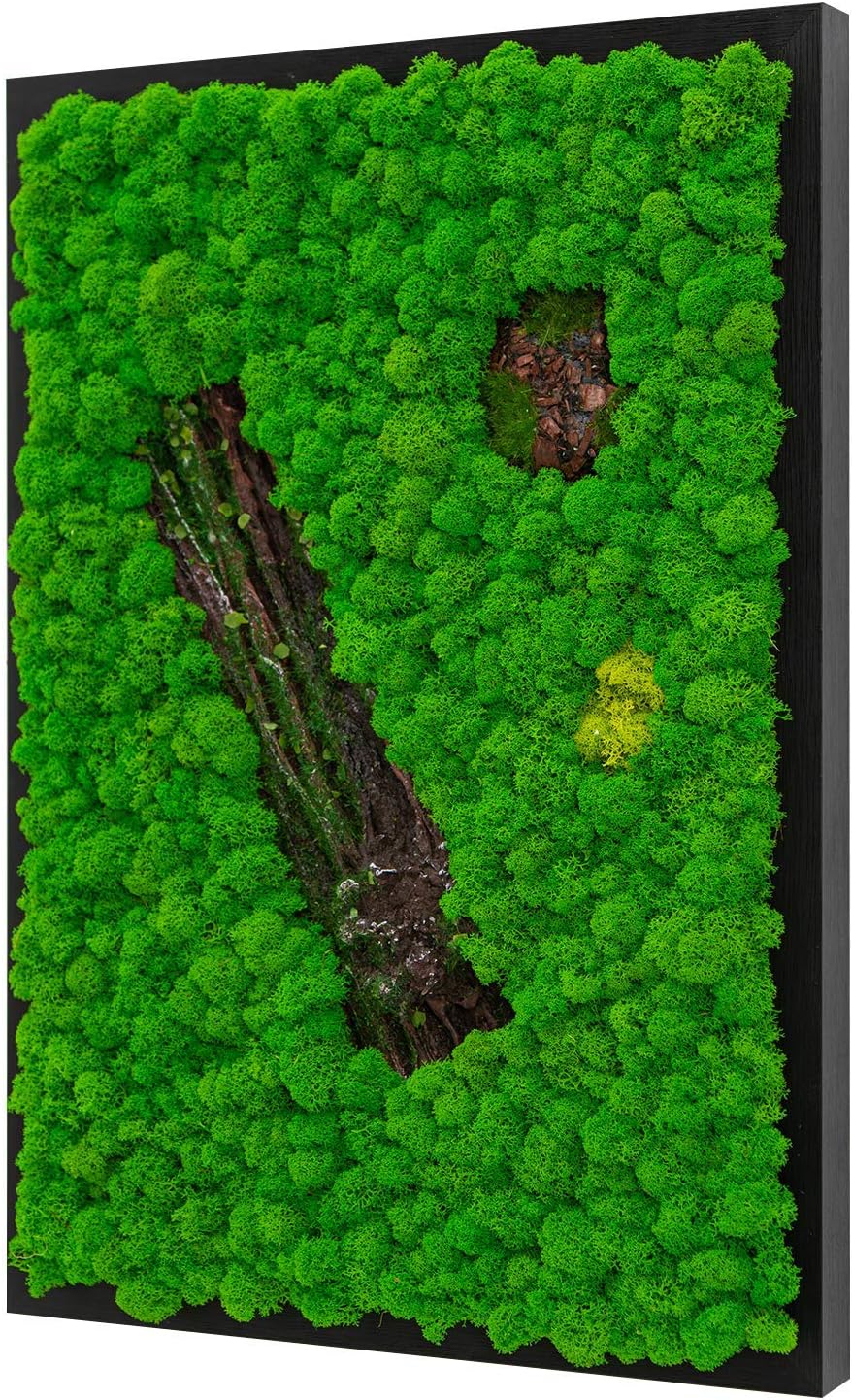 diy living moss wall on Wdtjr7fois8hfm