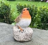 Animal Crackers Robin Memorial Ornament with Sign 15.5cm Gift Boxed view 7