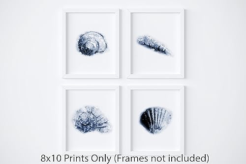 Amazon Com My Vinyl Story Watercolor Blue Seashells Wall Art Print 8x10 Set For Living Room Decor Modern Home Decorations And Bathroom Decor Gift Nursery Kids Wall Print Handmade