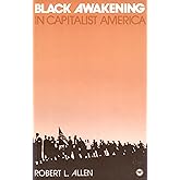 Black Awakening in Capitalist America: An Analytic History