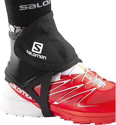 salomon low