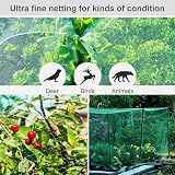 lohey Garden Netting Mesh 4M x 12M Cat Bird Proof Fine Nylon Green view 4