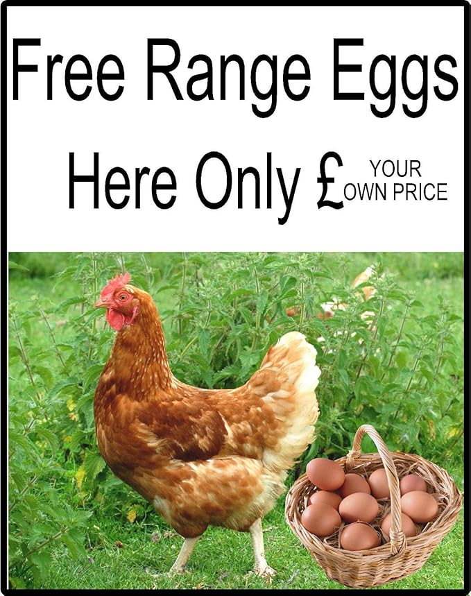 Free Range Chicken Eggs Sold/for Sale Here Sign (Aluminium, 560mm x