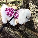 Review Image by Karen Karen