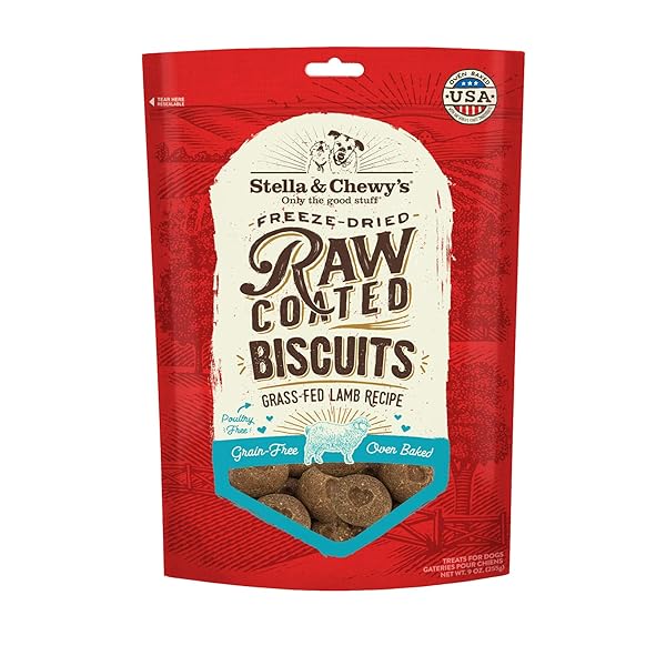 STELLA & CHEWY’S FREEZE-DRIED RAW COATED DOG BISCUITS...