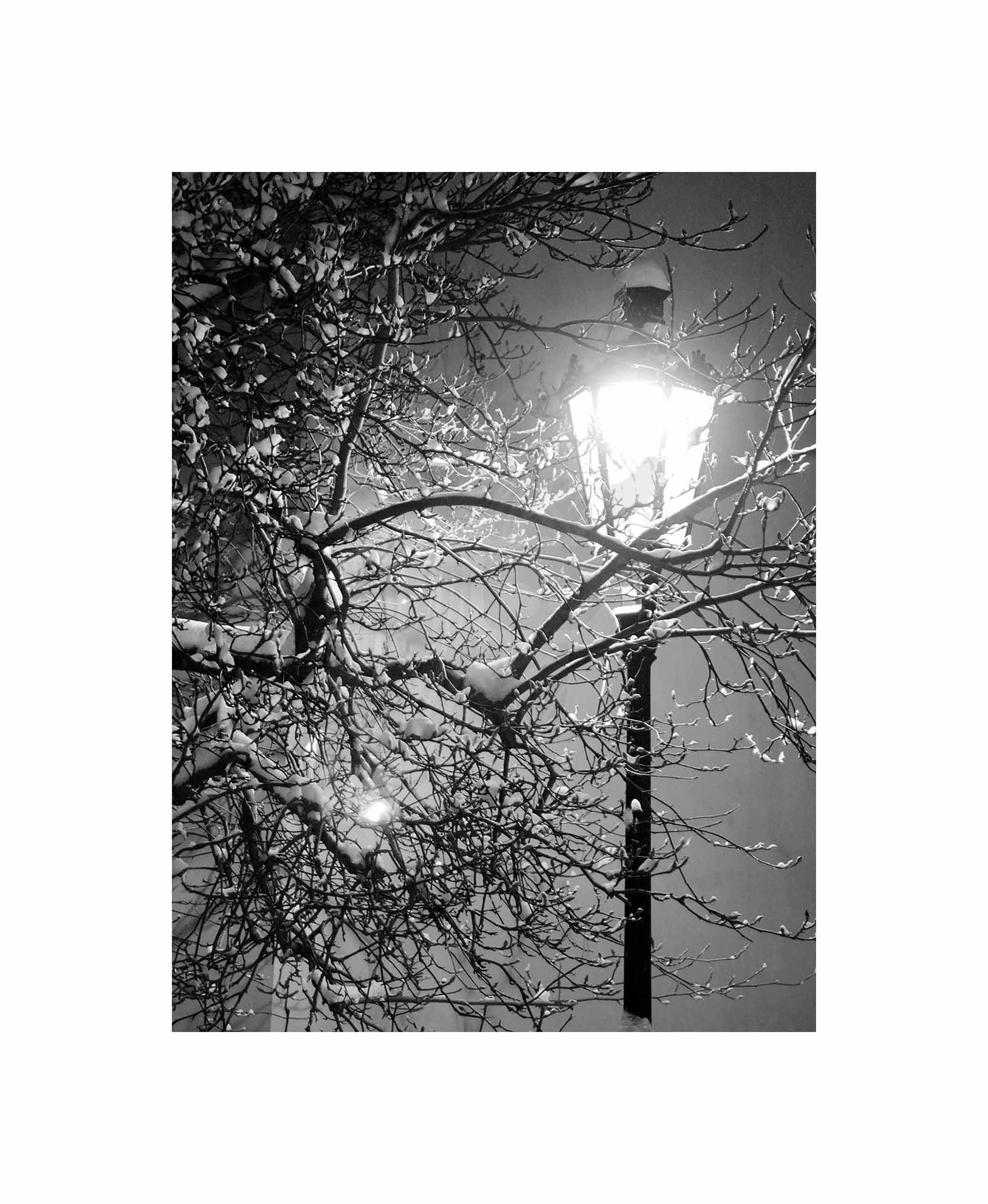Wee Blue Coo Lonely Street LaWinter Night Black White Photo Art Canvas Print