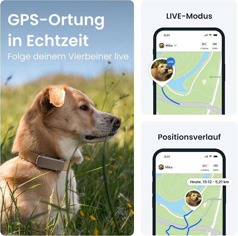 GPS Tracker Hund | 2025 Edition | Live-Ortung | Weglaufalarm | Aktivitätstracking | Gesundheitswarnungen | Bellverhalten | Empfohlen von Martin Rütter (Braun)