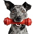 Pet Qwerks BarkBone Hundeknochen Aus Nylon – Für Aggressive Kauer, Mit Prime Rib Geschmack, Größe M | Zahnpflege & Beschäftigung