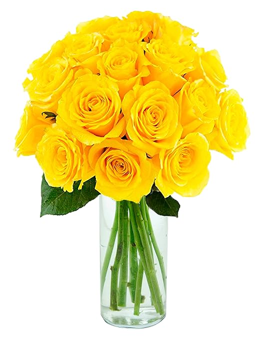 Kabloom Sunshine Bouquet Of 18 Fresh Yellow Roses With Vase
