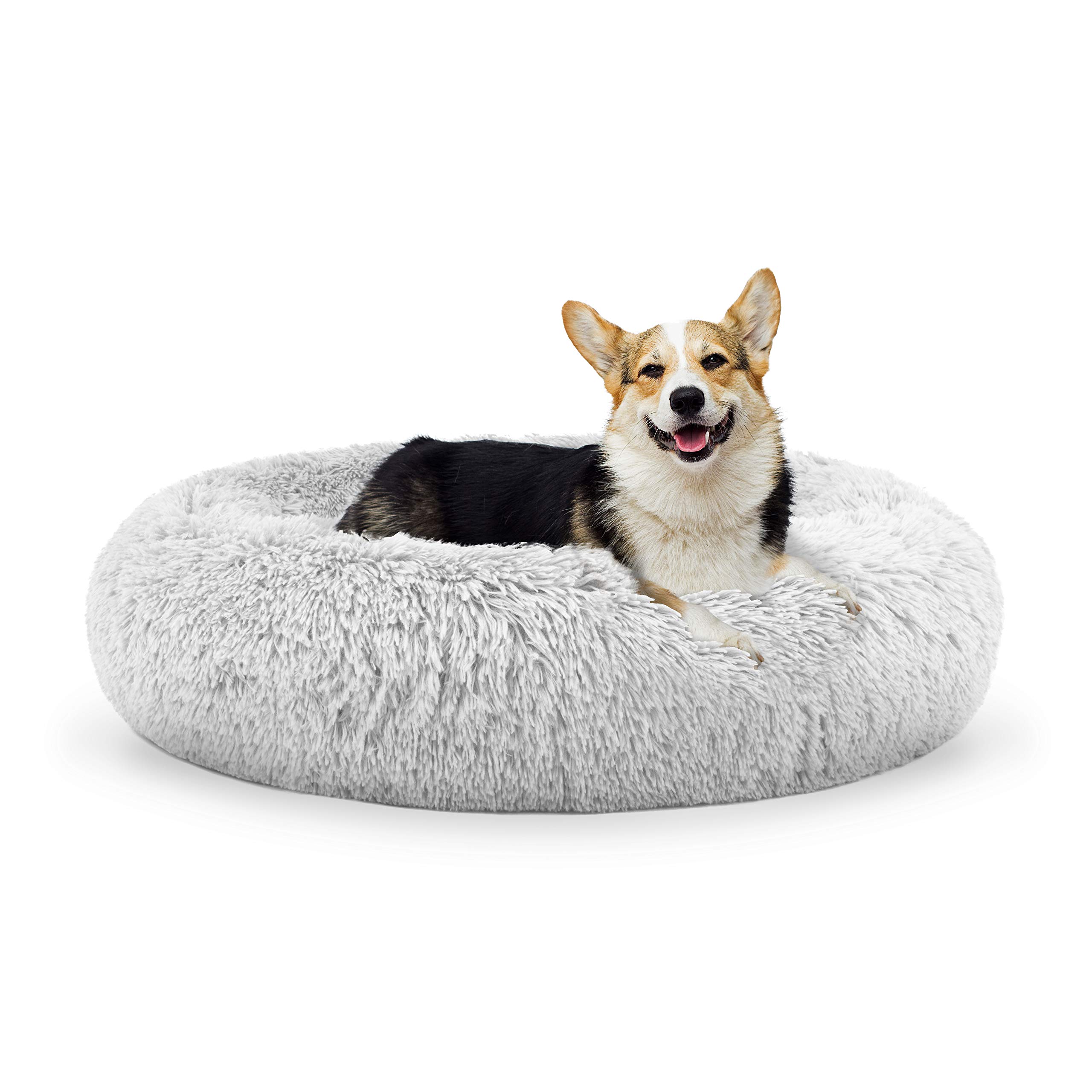 9 Best Dog Beds For A Pomeranians With FAQs SPIRE PET