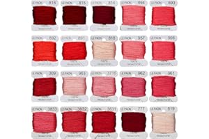 LE PAON Premium Rainbow Color Embroidery Floss bobbins - Cross Stitch Threads - Friendship Bracelets Floss - Crafts Floss - 20 Bobbins Per Pack Embroidery Floss,Pink Gradient