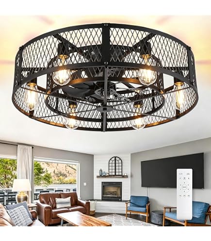 Depuley 26-Inch Farmhouse Bladeless Ceiling Fan With Light – Remote & APP Control, DC Motor, 6 Speeds, Black Cage Design