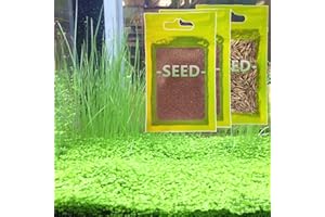 YIZIMONA 3 Pack Aquarium Plant S-e-e-d Combo, not Artificial Plastic, Fresh Water Grass for Fish Tank,not Plastic aab12