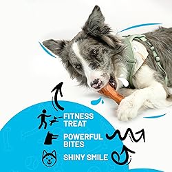 Sitka Farms Pork Femur Premium Dog Bones - 10 Count