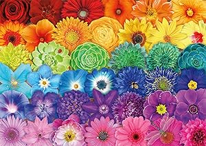 Buffalo Games - Flower Spectrum - 300 Large Piece Jigsaw Puzzle