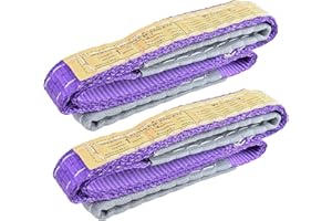 Vigtayue 2-Pack 1Inches x 3.3Ft 2-Ply Twisted Eye & Eye Polyester Lifting Sling, Lifting Slings 2204lbs Webbing Sling,Heavy D